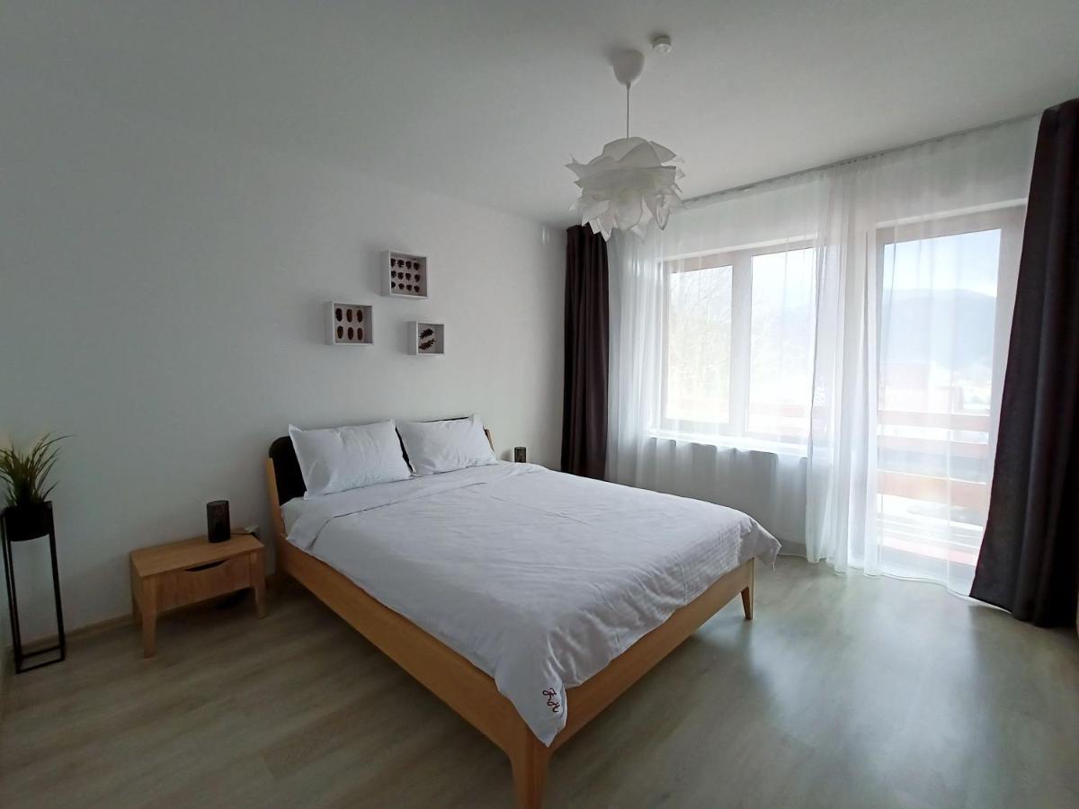 Zander Home Apartment Buşteni Eksteriør bilde